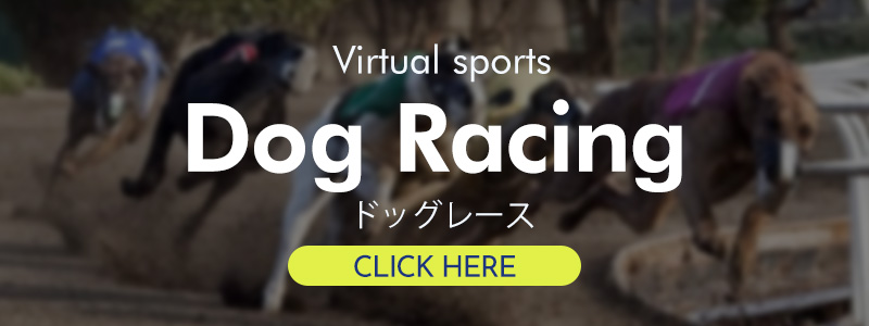 ドッグレース