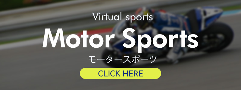 モータースポーツ