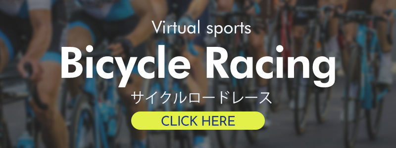 サイクルロードレース